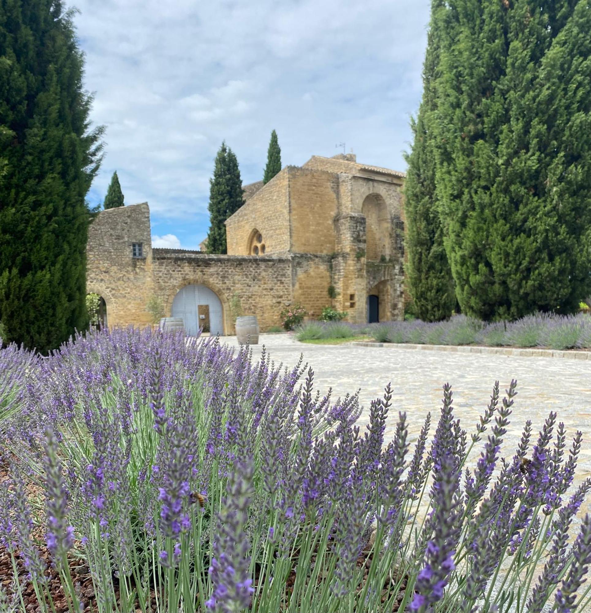 Chateau Saint-Pierre De Mejans Puyvert Exteriör bild
